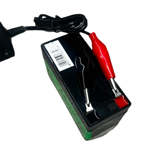 Carica batterie RL_RacingStore