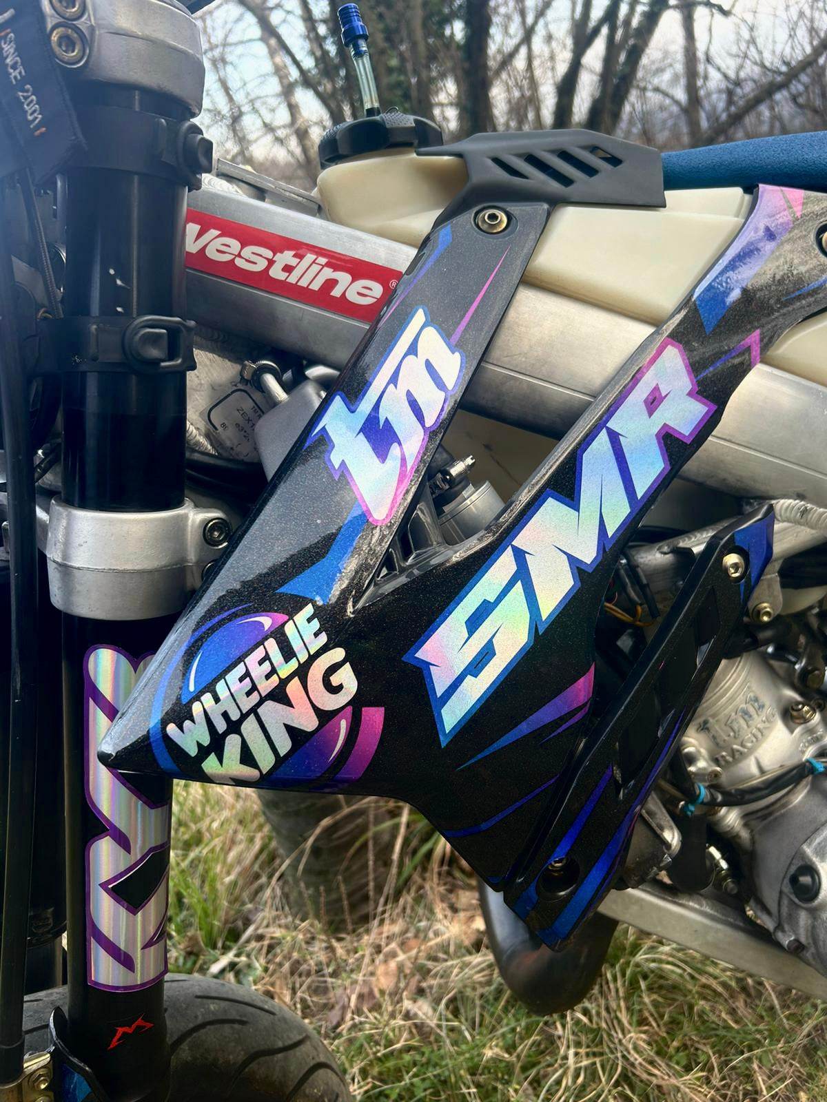 Grafica 100% personalizzate Bozza ACCONTO RL_RacingStore