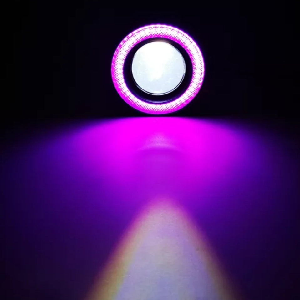 Angel eye - RL_RacingStore